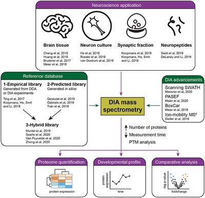 Recent Developments in Data Independent Acquisition (DIA) Mass Spectrometry: Application of Quantitative Analysis of the Brain Proteome